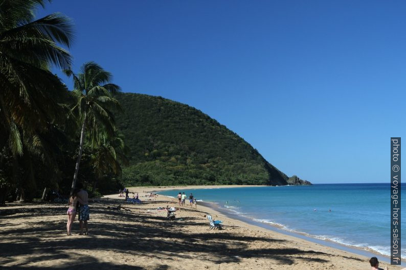 Plage de la Grande Anse. Photo © Alex Medwedeff