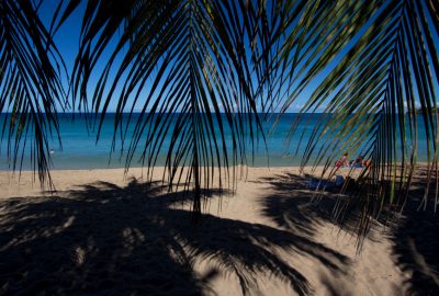 Vue de la plage à travers des feuilles de palmier. Photo © André M. Winter