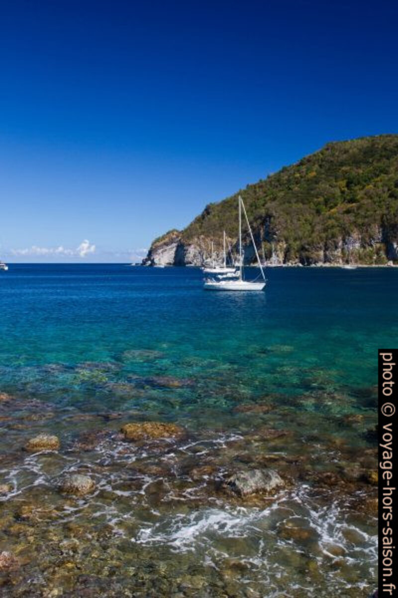 Pointe du Gros Morne et voiliers dans l'Anse Deshaies. Photo © Alex Medwedeff