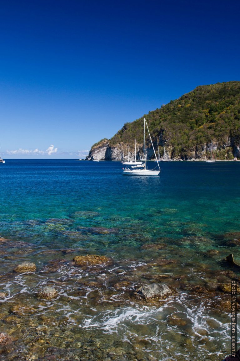 Pointe du Gros Morne et voiliers dans l'Anse Deshaies. Photo © Alex Medwedeff