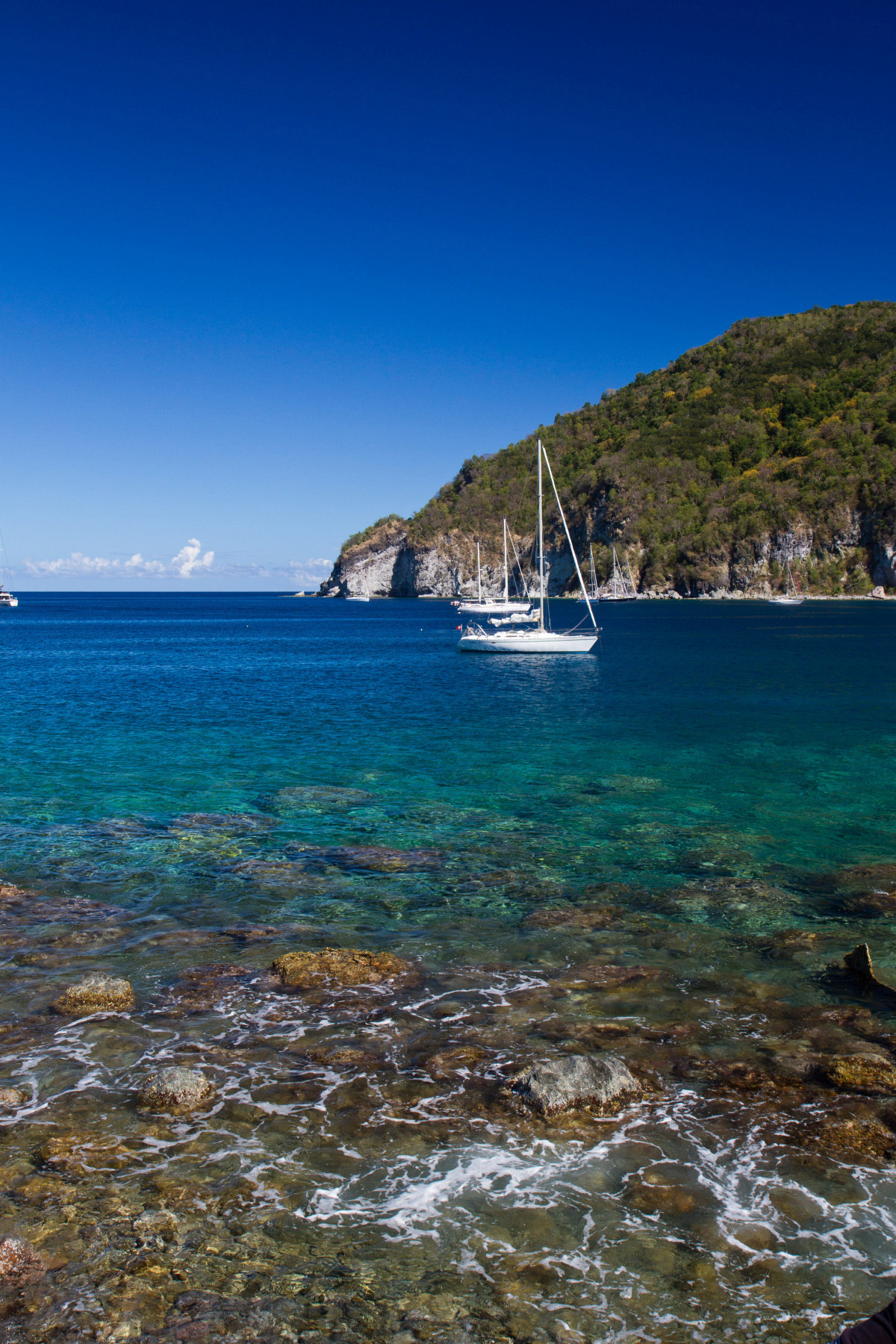 Pointe du Gros Morne et voiliers dans l'Anse Deshaies. Photo © Alex Medwedeff