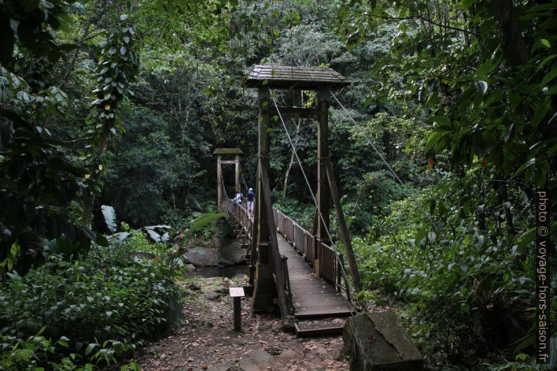 La passerelle sur la Rivière Bras David. Photo © Alex Medwedeff