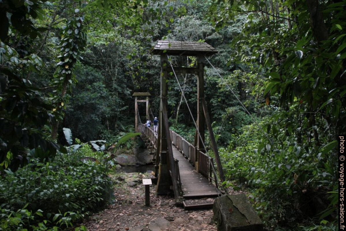 La passerelle sur la Rivière Bras David. Photo © Alex Medwedeff