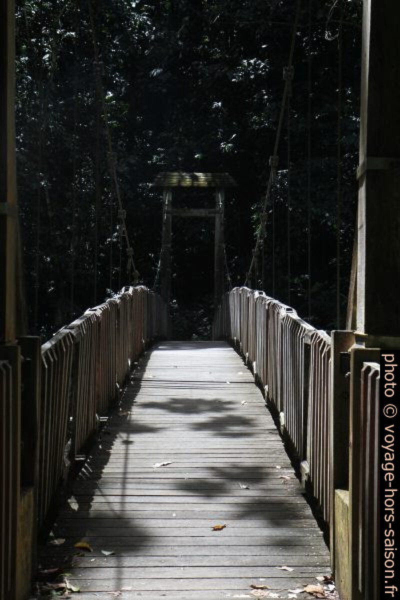 Sur la passerelle sur la Rivière Bras David. Photo © Alex Medwedeff