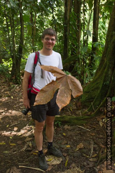 André avec une grande feuille. Photo © Alex Medwedeff