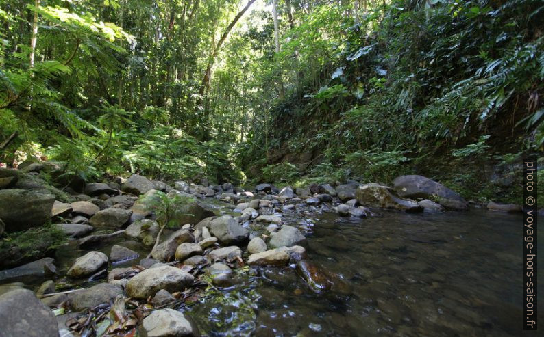 Rivière Bois Bananes en aval de la cascade. Photo © André M. Winter