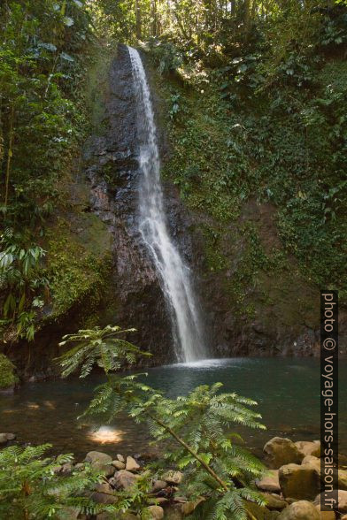 La Cascade de Bois Banane. Photo © Alex Medwedeff