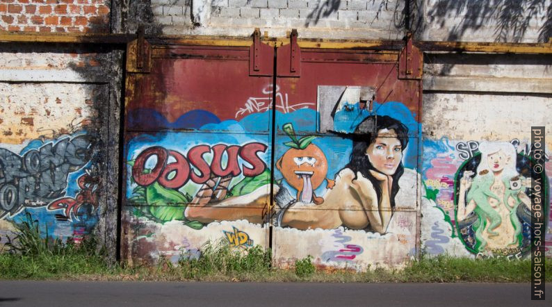 Graffitis de publicités transformées: Oasus, SP Cake. Photo © André M. Winter