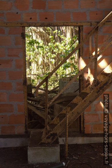 Escalier placé devant une porte. Photo © Alex Medwedeff