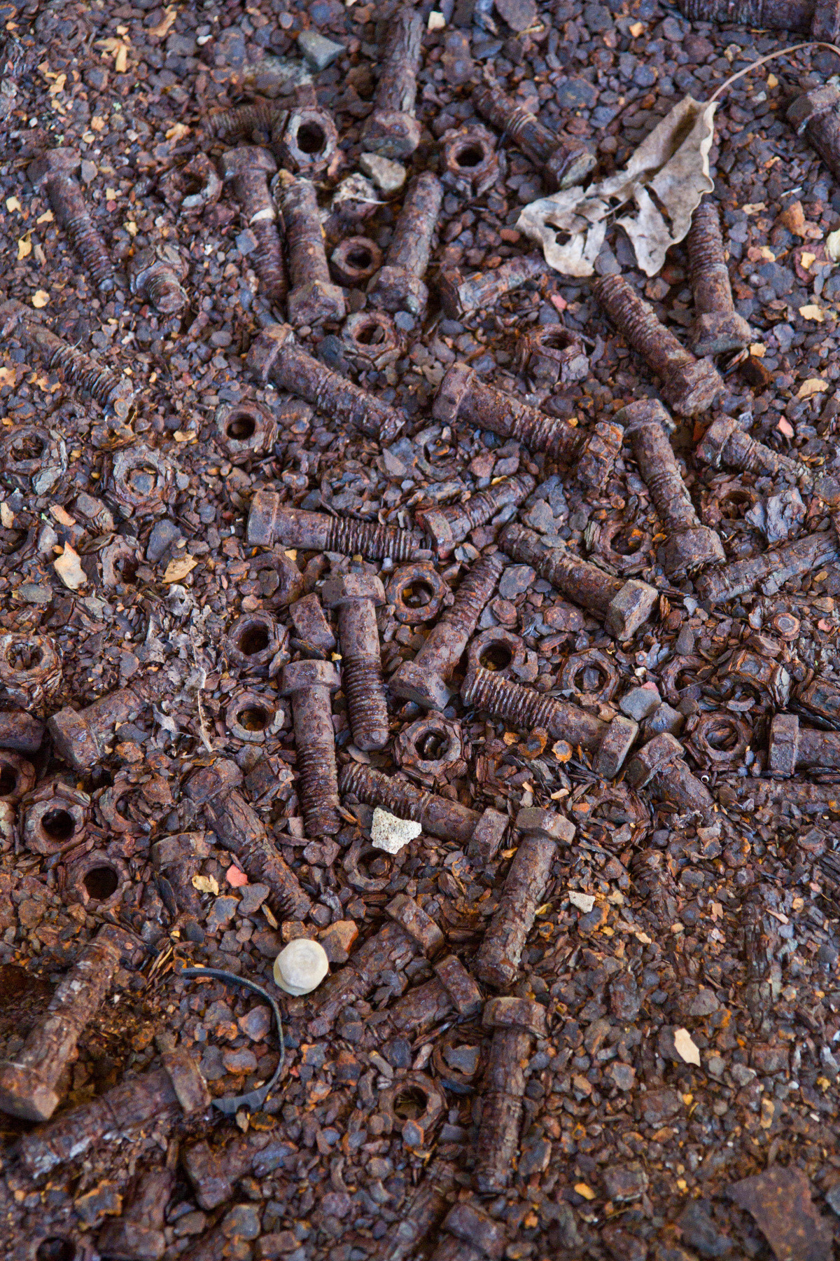Tas de vis et d'écrous rouillés dans la ruine de la rhumerie Grosse Montagne. Photo © Alex Medwedeff
