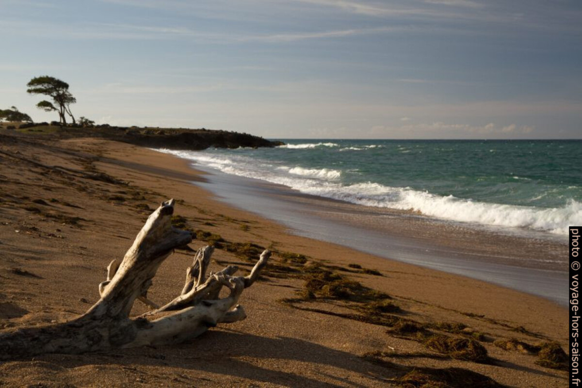 Plage sauvage à l'est de la Pointe du Petit Fort. Photo © Alex Medwedeff