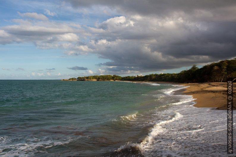 Plage de Nogent vue d'ouest en est. Photo © Alex Medwedeff