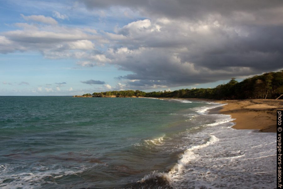 Plage de Nogent vue d'ouest en est. Photo © Alex Medwedeff