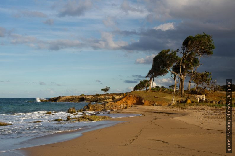 Pointe du Petit Fort. Photo © Alex Medwedeff