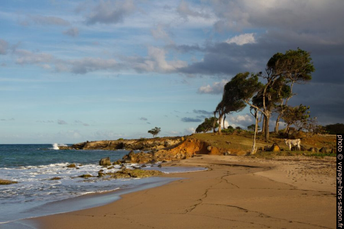 Pointe du Petit Fort. Photo © Alex Medwedeff