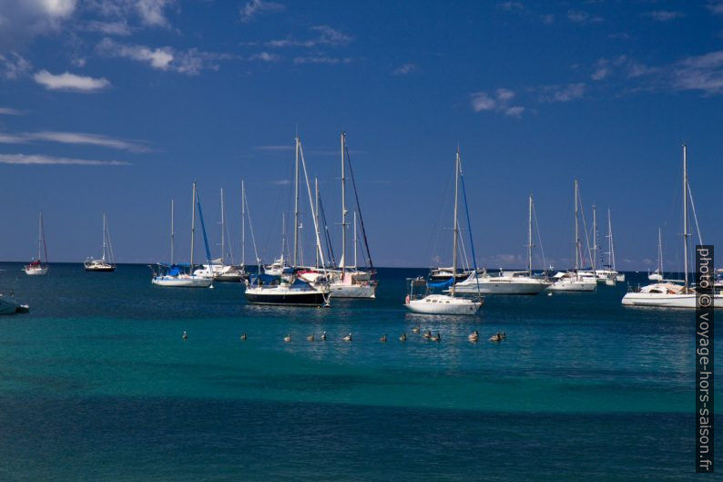 Voiliers sur la Mer des Caraïbes. Photo © Alex Medwedeff