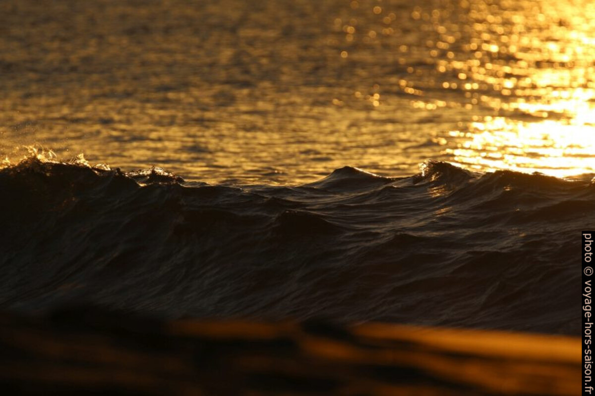Une vague sur la plage lors du coucher du soleil. Photo © André M. Winter