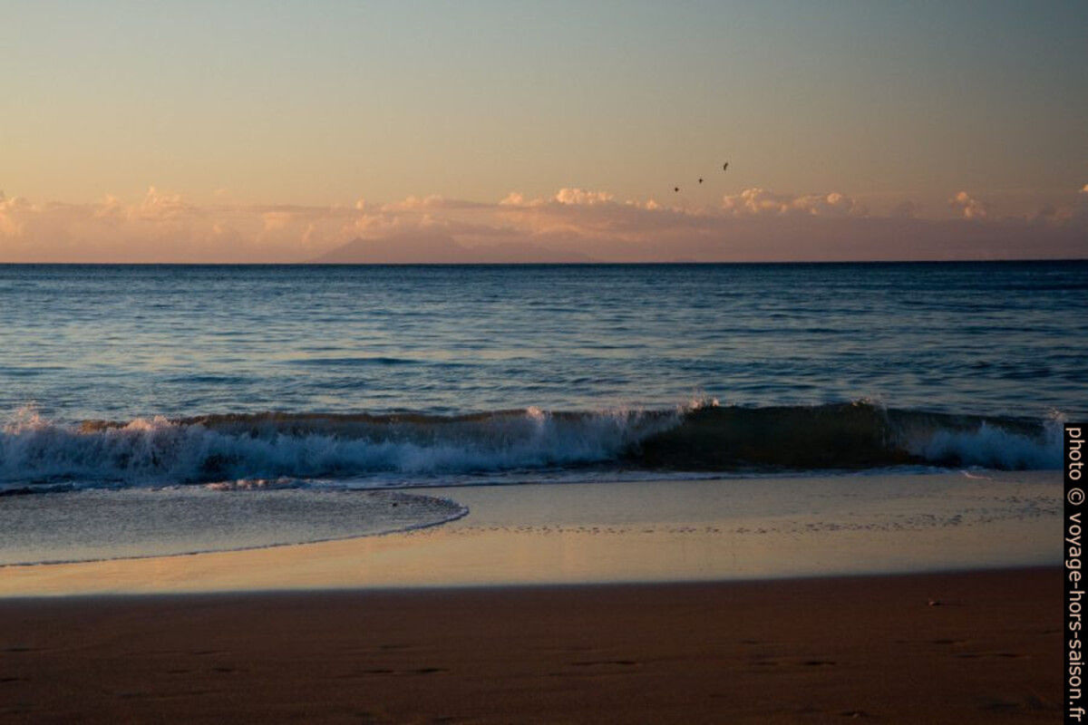 Vague sur la Plage de la Perle et trois pélicans. Photo © Alex Medwedeff
