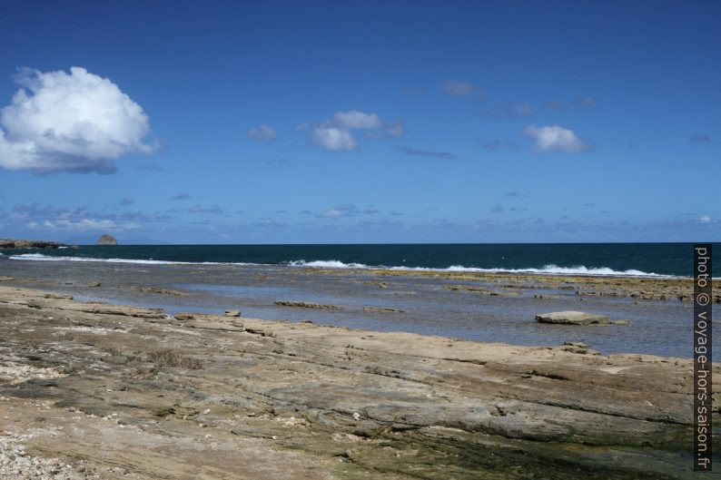 Récifs de l'Anse de Nogent par mer basse. Photo © Alex Medwedeff