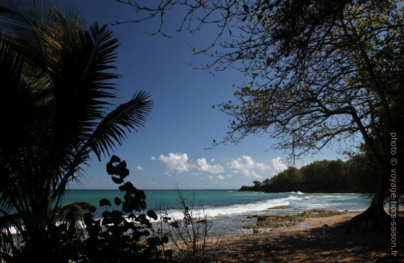 Anse de Nogent par mer basse. Photo © Alex Medwedeff