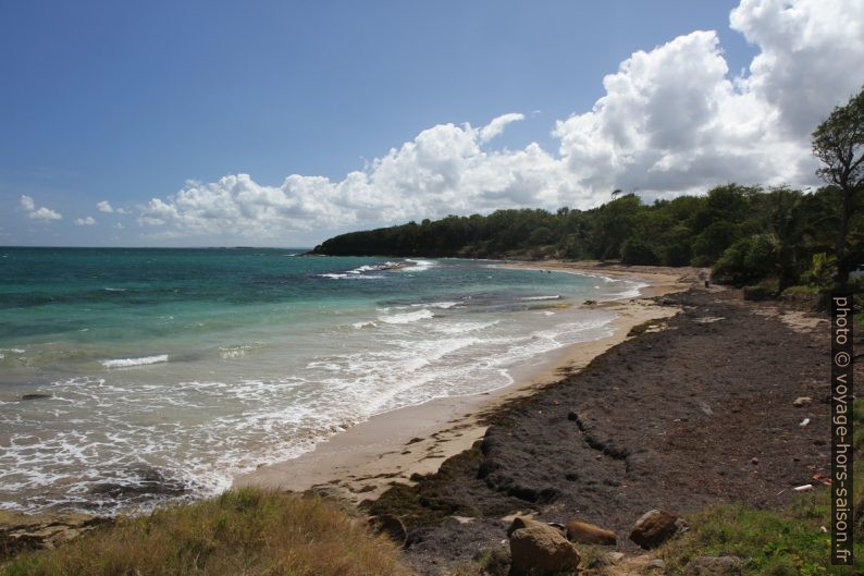 Anse Vinty et Pointe à Latanier. Photo © Alex Medwedeff