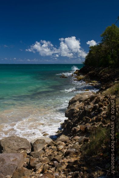 Côte ouest de la Pointe de Latanier. Photo © Alex Medwedeff