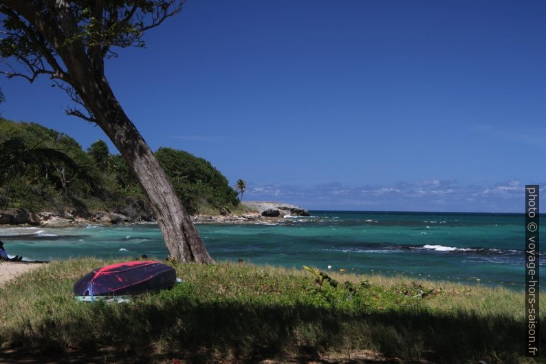 L'Anse Vinty. Photo © Alex Medwedeff