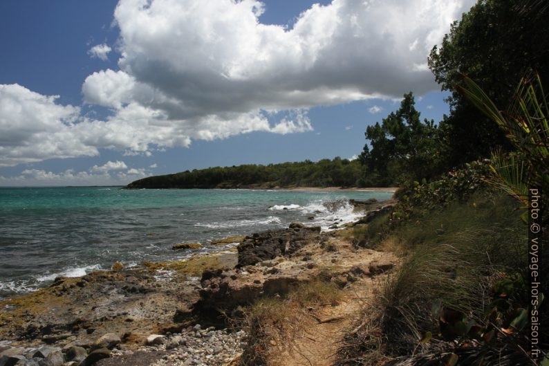 Sentier du littoral entre l'Anse de Nogent et l'Anse Vinty. Photo © Alex Medwedeff