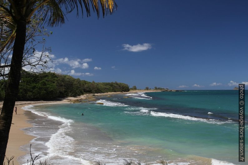 Récifs de l'Anse de Nogent. Photo © Alex Medwedeff