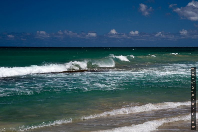 Les vagues se brisent sur les récifs. Photo © Alex Medwedeff