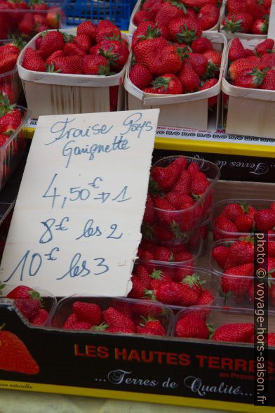 Fraises au marché de Salernes. Photo © Alex Medwedeff