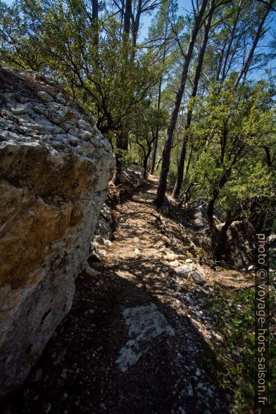 Chemin au nord de la Piste des Tourons. Photo © André M. Winter