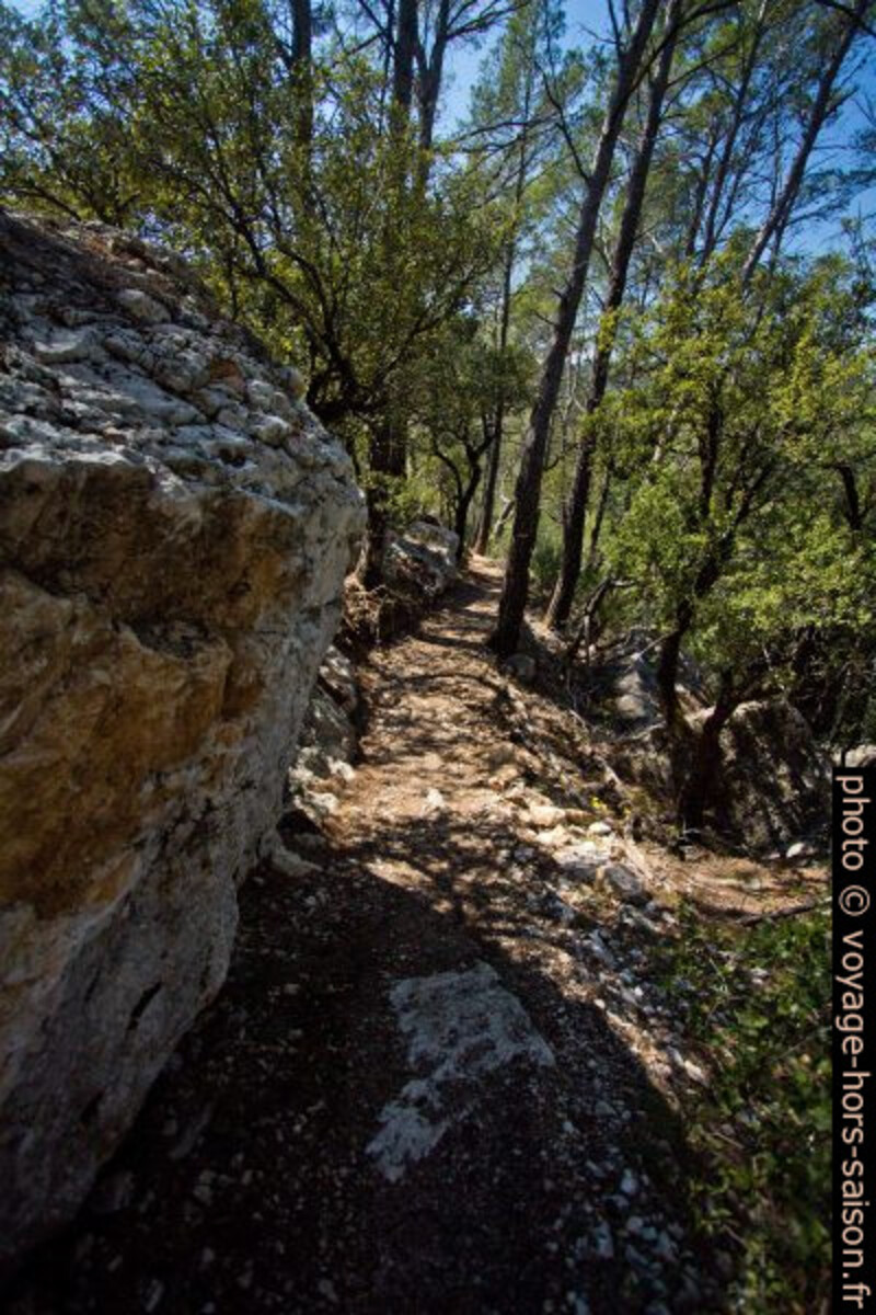 Chemin au nord de la Piste des Tourons. Photo © André M. Winter