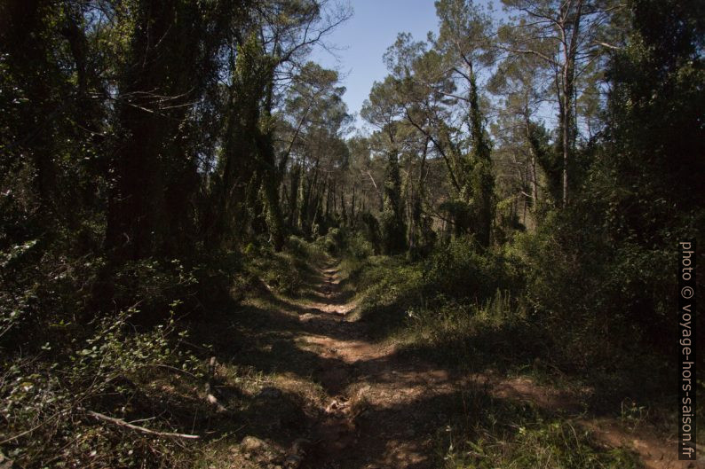 Chemin sous les Tourons vers la Bresque. Photo © André M. Winter