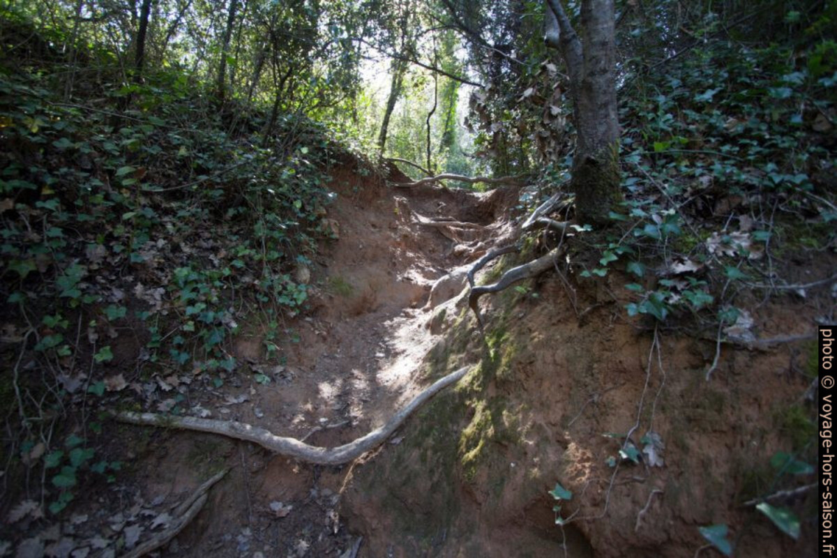 Chemin de contournement plus raide et plus près de l'eau. Photo © André M. Winter