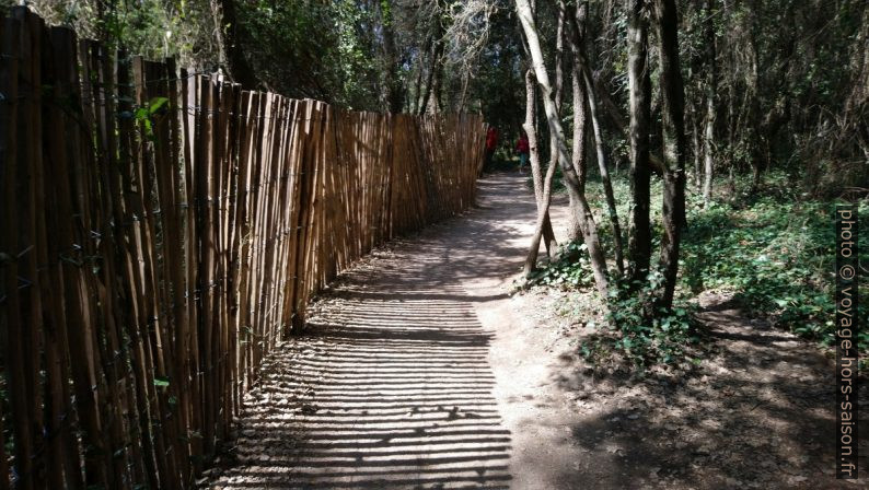 Chemin d'accès au belvédère. Photo © André M. Winter