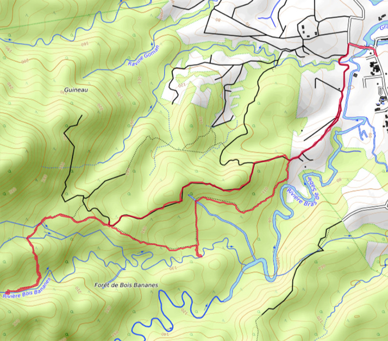 Carte OpenTopoMap de la Forêt de Bois Bananes