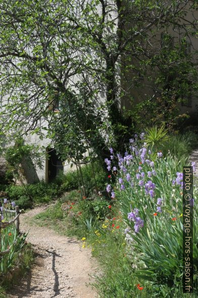 Fleurs sur la Rue du Rocher. Photo © Alex Medwedeff