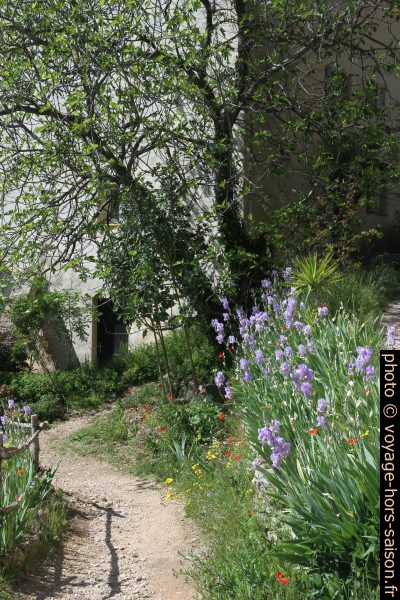 Fleurs sur la Rue du Rocher. Photo © Alex Medwedeff