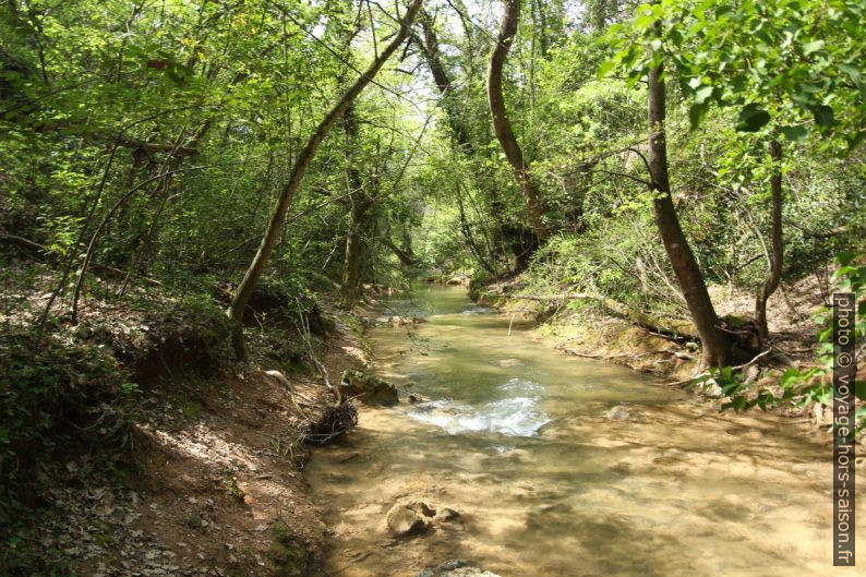 Ruisseau du Fauvery en aval du Gouffre aux Épines. Photo © André M. Winter