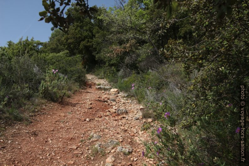 Le Chemin de Notre-Dame de Paracol monte. Photo © André M. Winter