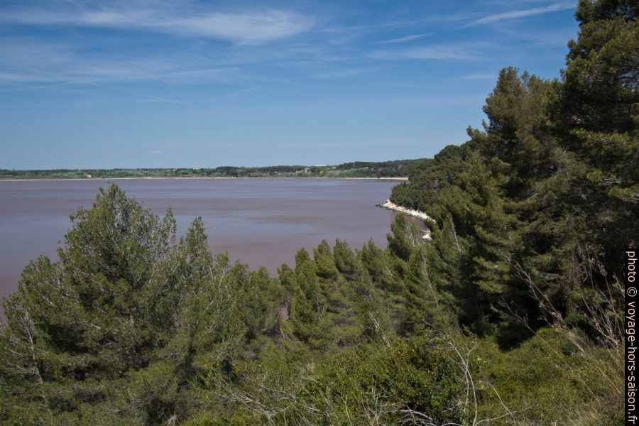 Étang de Lavalduc avec ses bords blancs de sel. Photo © André M. Winter