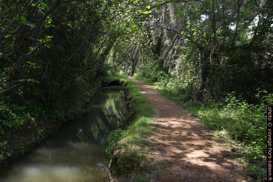 Au bord du canal de Rossuer et sous l'ombre de la forêt. Photo © André M. Winter
