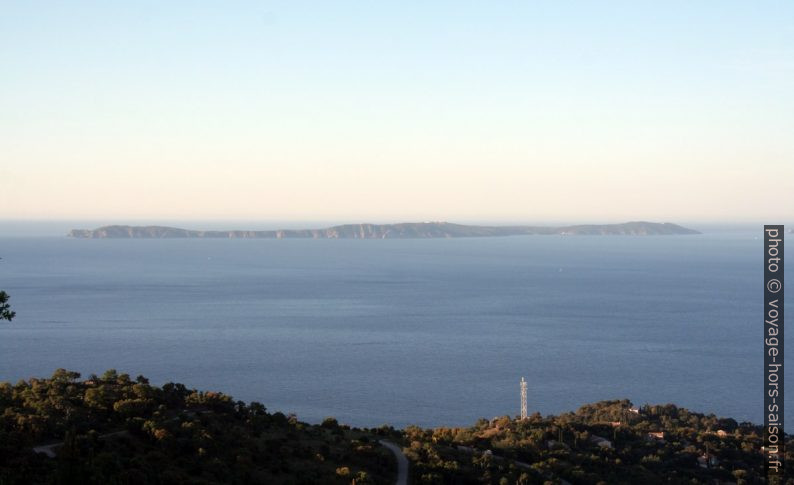 Île du Levant. Photo © André M. Winter