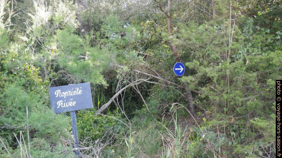 Reprise du sentier du littoral à l'est du Domaine de la Reine Jeanne. Photo © André M. Winter