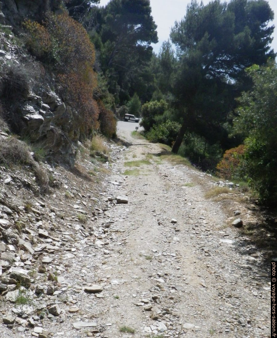 Piste forestière puis route goudronné du Domaine privé du Cap Bénat. Photo © André M. Winter
