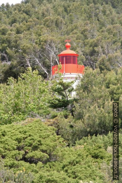 La lanterne rouge du phare du Cap Blanc. Photo © André M. Winter