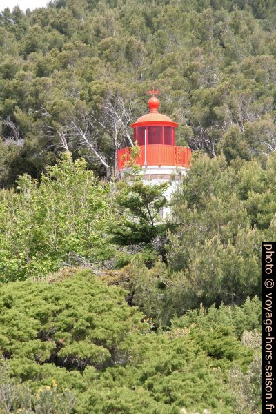 La lanterne rouge du phare du Cap Blanc. Photo © André M. Winter