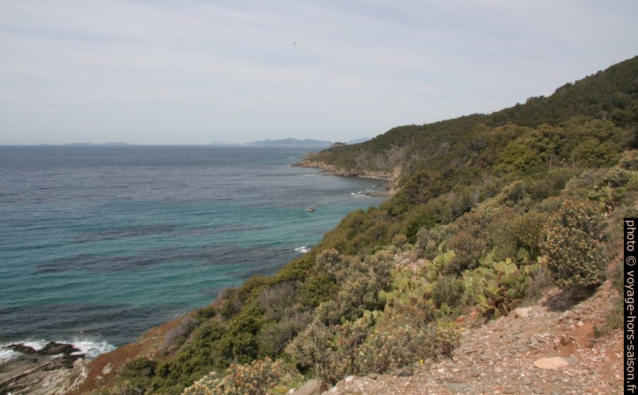 Côte entre le Cap Blanc et la Pointe de la Tripe. Photo © André M. Winter