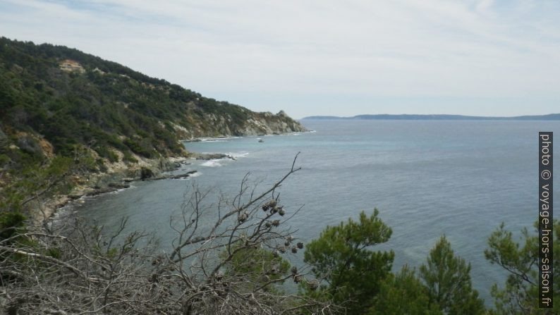 Vue vers le Cap Blanc. Photo © André M. Winter